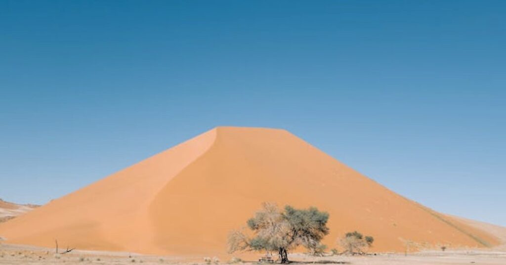 Südafrika, Namibia oder Kenia? Der ehrliche Afrika-Check für deine Reise 2025