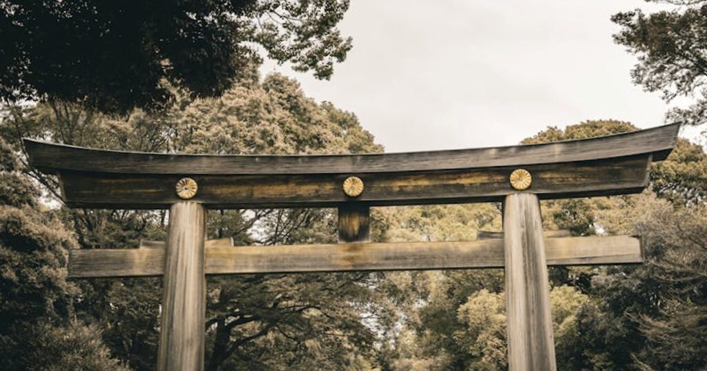 Sakura-Boom 2026 in Japan: Wie du Kirschblüten genießt, ohne im Menschenmeer zu versinken