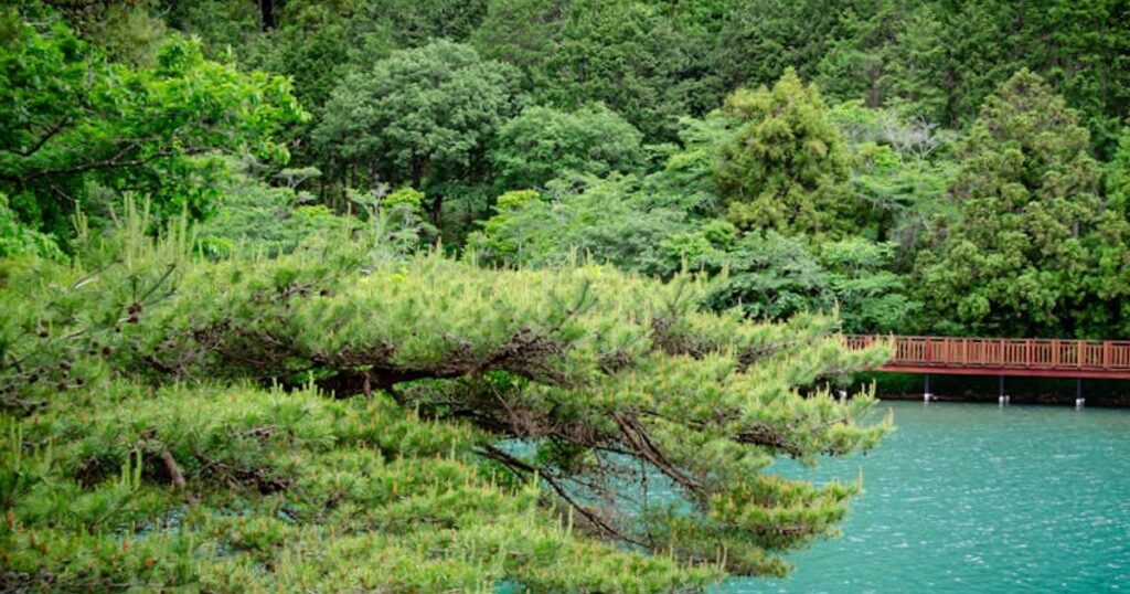 Beste Reisezeit für Hakone 2026/2027: Wann sich Fuji, Onsen & Koyo wirklich lohnen