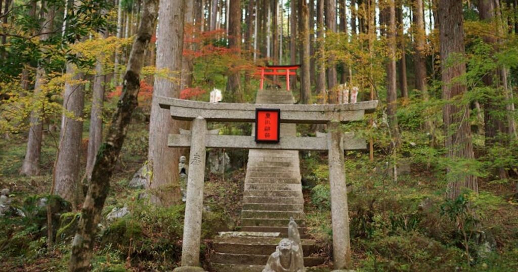 Hakone in 1–2 Tagen: 12 Dinge, die du erleben musst (und wie du teure Touri-Fallen vermeidest)