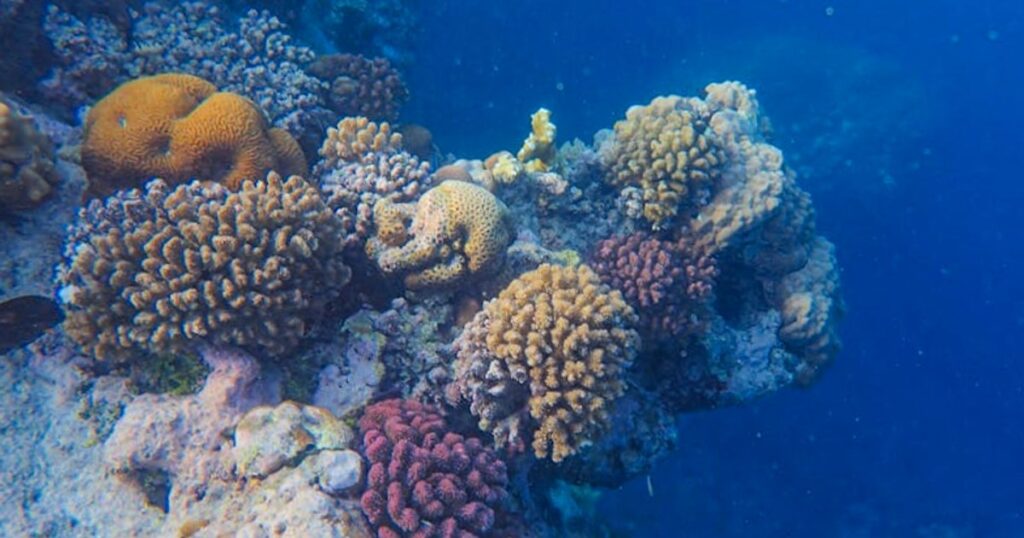 Lanzarote & La Graciosa günstig entdecken: Schnorchel-Highlights ohne Budget-Schock
